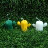 Vedini Desert Cactus Aroma Candle